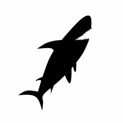 shark silhouette illustration on a gray background shark illustration on a white background
