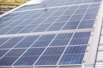 Close up of solar cell panel in solar panel photovoltaic farm, concept of renewable or alternative energy clean energy for environmental factory, sunlight electricity generator, sustainable eco system