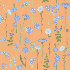 seamless pattern with blue field flowers, vector drawing wild flowering plants at orange background, floral ornament, hand drawn botanical illustration