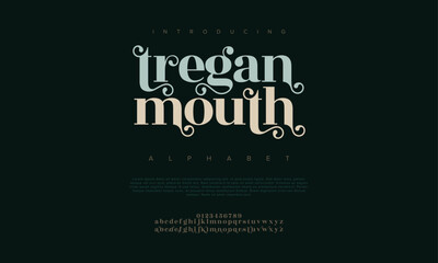 Treganmouth premium luxury elegant alphabet letters and numbers. Elegant wedding typography classic serif font decorative vintage retro. Creative vector illustration