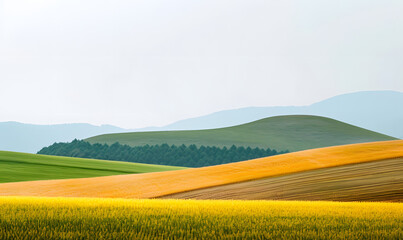 Obraz premium landscape with green field and sky, Generative AI 