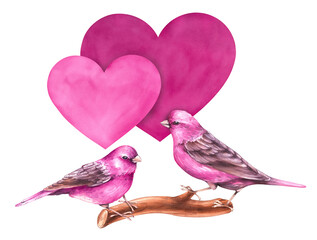 Watercolor Valentines day with birds isolated on white