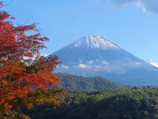 Natural photography in Japan, mount Fuji mountain with snow peak, lake and red tree