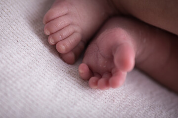 Newborn soft baby feet body part delicate motherhood 