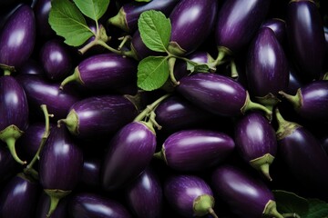 Harvest eggplants, freshly picked eggplants from the farm, harvest vegetables collection, organic vegetables, supermarket vegetable promotion advertisement