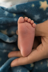 Newborn soft baby feet body part delicate motherhood 