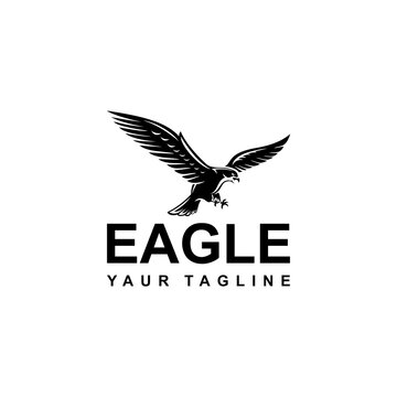 Black Flying Eagle vector illustration, black on white background, isolated, logo, tattoo, company