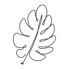 Monstera delicosa leaf in continuous one line art drawing. Vector illustration isolated. Minimalist design handdrawn.