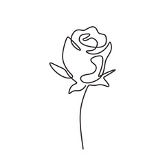 Rose flower in continuous one line art drawing. Vector illustration isolated. Minimalist design handdrawn.