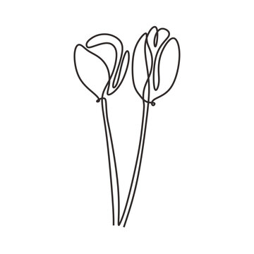 Tulip one line art drawing. Vector illustration isolated. Minimalist design handdrawn.