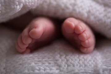 Newborn soft baby feet body part delicate motherhood 