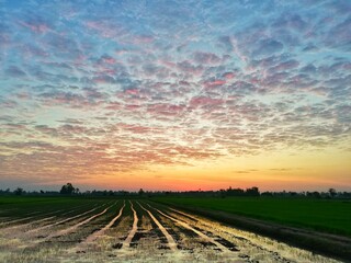 The light of the sun is setting on the horizon