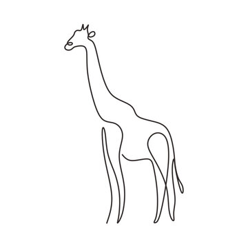 Giraffe in continuous one line art drawing. Vector illustration isolated. Minimalist design handdrawn.