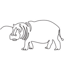 Hippopotamus in Continuous single line art drawing. Hippo animal wildlife. Vector illustration isolated. Minimalist design handdrawn.