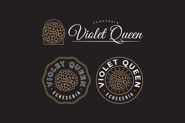 echeveria of violet queen succulents outline logo design for plant shop and lover business
