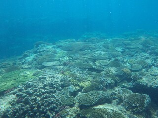 沖縄の海	
