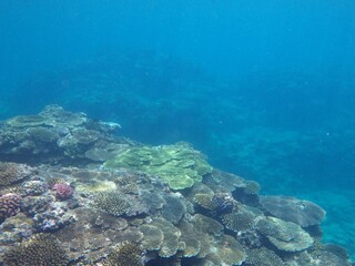 沖縄の海	
