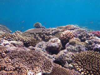 沖縄の海	
