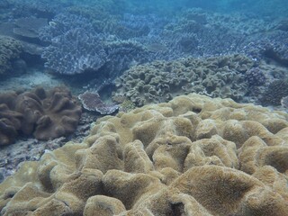 沖縄の海	
