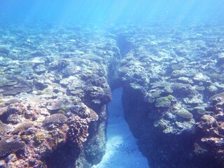 沖縄の海	
