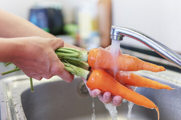 Woman hands washing fresh orange carrots in a kitchen - obrazy, fototapety, plakaty
