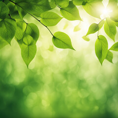 Fresh green leaves on blurred nature background 