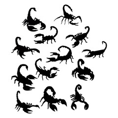 silhouette of a black scorpion walking