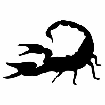 black scorpion silhouette on white background clip art preview