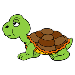 turtle vector illustration