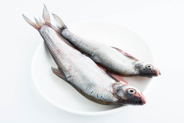 fresh white fish