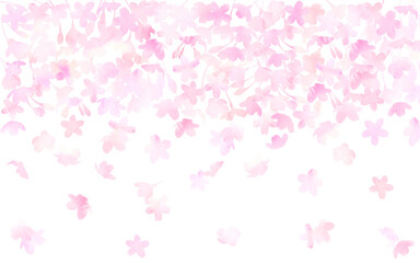 白背景に水彩の桜の花吹雪が舞う。春の水彩イラスト。