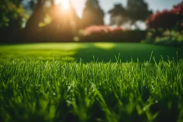 Crédence de cuisine en verre imprimé Herbe close-up view of a front lawn green grass