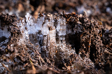 Closeup of hoar frost ice crystals on a frozen sunny winter day, as a nature background
