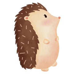 Hand Draw Watercolor Hedgehog