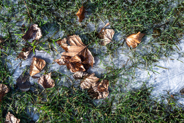 Frozen cold winter day, grass lawn with ice and dead fall leaves
