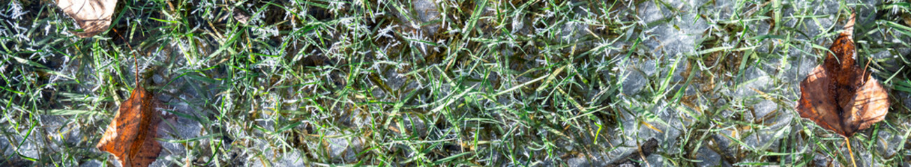 Hoar frost and ice crystals on a frozen green grass lawn on a frozen cold winter day
