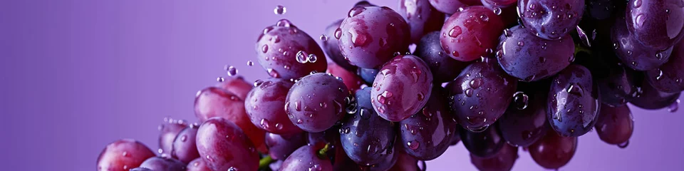 Fotobehang a fresh grape with a dewy surface on the air in a purple background for a banner, wine label, copy space © graphicbeezstock