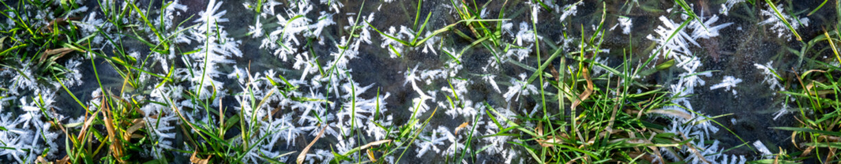 Hoar frost and ice crystals on a frozen green grass lawn on a frozen cold winter day
