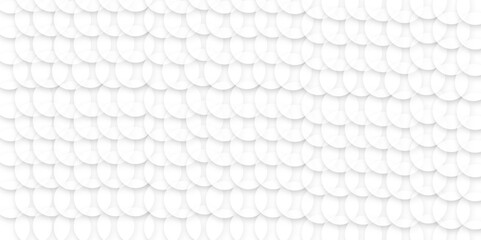 Abstract white background with circles. background white in cover design, book design, website background. digital technology wallpaper used in the corporate in design.