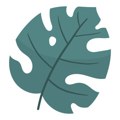 Monstera tropical leaf vector illustration