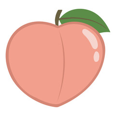 Peach fruit vector illustration