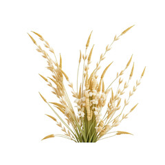 Fototapeta premium ear of wheat, plant, cartoon, png