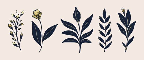 Set of leaves silhouette of beautiful plants, leaves, plant design. Vector illustration 27.	
