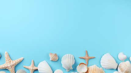Seashells on light cyan background top view in flat lay style.