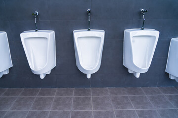 A row of urinals in tiled wall in a public restroom - 710291666
