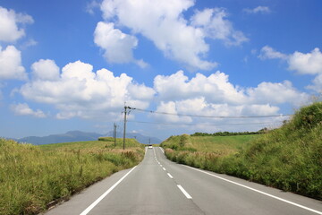 秋の草原の道