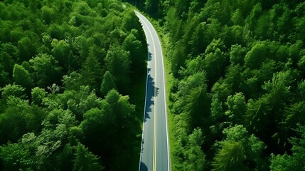 Arial shot of the road into the forest for exploration , aerial shot, road, forest, exploration