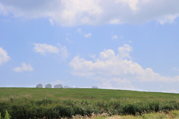 爽やかな青空と草原
