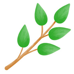 Fresh green leaves branch, Saint Patrick's day 