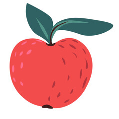 Organic apple with leaf, tasty farm fruit vector